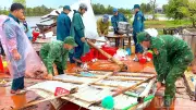 Mưa dông lốc làm sập tốc mái 5 nhà dân tại Cà Mau, 3 người bị thương