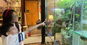 Mùa hè mơ ước của trẻ: Không học thêm, chỉ muốn chơi và nghỉ ngơi