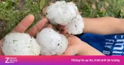 Mưa đá kích thước lớn bất thường ở Tuyên Quang và Phú Thọ, thiệt hại nặng