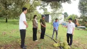 Mưa lốc tại Đồng Nai làm tốc mái nhà, rụng 25 tấn sầu riêng
