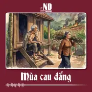 Mùa trăng côi và hương cau đêm