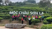 Mộc Châu đón gần 40.000 lượt khách trong dịp lễ, doanh thu 30 tỷ đồng