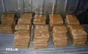 Mexico thu giữ hơn 2 tấn cocaine ngoài khơi bang Oaxaca