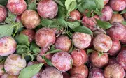 Mận hậu giảm giá sâu chỉ còn vài nghìn đồng/kg, bán đầy thị trường