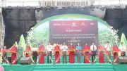 Mận hậu Sơn La lên máy bay, vào siêu thị trên toàn quốc