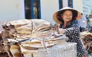 Mo cau bỏ đi thành nguồn thu nhập cho người dân Quảng Ngãi