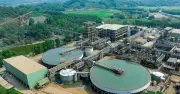 MSR: Cổ phiếu vonfram đang bị định giá thấp giữa chu kỳ tăng trưởng mới
