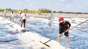 Muối An Ngãi vụ mùa 2026: Sản lượng giảm, giá thấp, diêm dân lo lắng