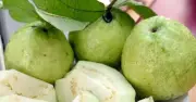 Ăn 1-2 quả ổi mỗi ngày có tác dụng gì cho sức khỏe?