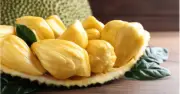Ăn mít thường xuyên: Lợi ích sức khỏe và những lưu ý quan trọng