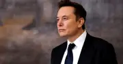Nữ nhân viên tiết lộ tỷ phú Elon Musk từng đề nghị hiến tinh trùng