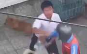 Nam shipper bị đánh chảy máu mũi khi giao hàng, công an vào cuộc