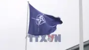 NATO tìm hiểu lý do Mỹ cắt giảm 5000 binh sĩ đồn trú tại Đức
