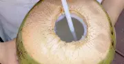 Nước dừa: Lợi ích và rủi ro cần biết trước khi uống