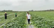Đồng bộ giải pháp xóa 'vùng lõm' thông tin tại Lào Cai