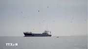 Đóng cửa eo biển Hormuz gây gián đoạn hoạt động xây dựng tại nhiều nước