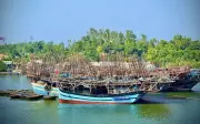 Ngư dân Quảng Ngãi 'ăn nhờ' cảng cá ngoại tỉnh dù trúng đậm mực xà