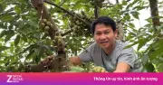'Ông hoàng nhạc đỏ' Trọng Tấn mê làm vườn, sở hữu nhà vườn 4.000m²