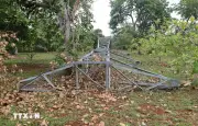 Đồng Nai: Gần 60 trụ điện bỏ không, nhiều năm người dân sống trong bất an