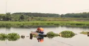 Đồng Nai lấy mẫu nước hồ Phước Hòa tìm nguyên nhân cá chết hàng loạt