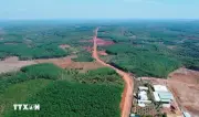 Đồng Nai nỗ lực giữ màu xanh cho rừng Mã Đà giữa cao điểm nắng nóng