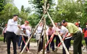 Đồng Nai phát động Tết trồng cây 2026, C.P. Việt Nam hỗ trợ 100.000 cây giống