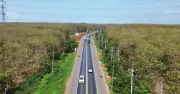 Đồng Nai sẽ sửa chữa 3 tuyến quốc lộ trong quý 3/2026
