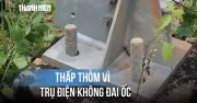 Đồng Nai: Trụ điện 110 kV không có đai ốc gây bất an
