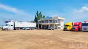 Đồng Nai xử lý tình trạng xe container chờ kiểm định sầu riêng gây rối giao thông