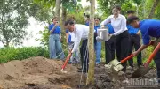 Đồng Tháp đẩy mạnh phong trào trồng cây xanh, hướng tới phát triển bền vững