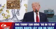 Ông Trump tạm dừng dự án, virus Hanta lây lan ra sao?