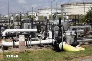 Nga dừng trung chuyển dầu đến Đức qua đường ống Druzhba