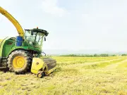 Nghệ An chuyển đổi nông nghiệp từ sản lượng sang chất lượng, hướng đến bền vững