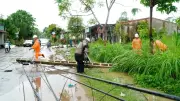 Nghệ An: Dông lốc làm hư hỏng lưới điện, hơn 480.000 khách hàng mất điện