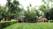 Nghệ An đón hơn 1,2 triệu lượt khách trong kỳ nghỉ lễ, tổng thu 2.191 tỷ đồng