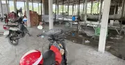 Người dân bất an vì lò giết mổ gia súc nằm cạnh kho thuốc trừ sâu