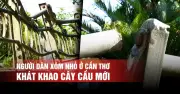 Người dân Cần Thơ khát khao cây cầu mới thay thế cầu Bờ Dừa xuống cấp
