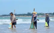 Người dân Quảng Ngãi mưu sinh với nghề cào nghêu, kéo lưới ven bờ