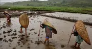 Ngôi làng Mawsynram - Nơi mưa nhiều nhất thế giới với cuộc sống thích nghi kỳ thú