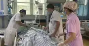 Người đàn ông 30 tuổi tử vong vì say nắng sau 2 giờ ngoài trời, bác sĩ cảnh báo 4 việc cần tránh