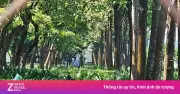 Người đàn ông tử vong bí ẩn tại khuôn viên cây xanh ở TP.HCM
