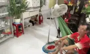 Ngôi nhà miền Tây dài hơn 100 mét khiến dân mạng thích thú