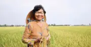 Người phụ nữ miền Tây đầu tiên được phong Anh hùng Lao động khi 36 tuổi