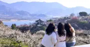 Người trẻ chán tour 'rập khuôn', du lịch Hàn Quốc 'đổi sắc'