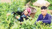 Người trẻ dùng mạng xã hội quảng bá du lịch cộng đồng