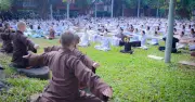 Người trẻ tìm đến chùa giữa mùa Phật đản để tìm sự bình an nội tâm