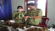 Ngăn chặn vi phạm sở hữu trí tuệ ngay từ khâu xác lập quyền