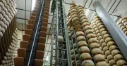 Ngân hàng phô mai Italy: Kho báu 325 triệu euro giữa lòng Emilia-Romagna
