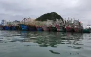 Nguy cơ cạn kiệt nguồn lợi hải sản tại Quảng Ninh do khai thác quá mức