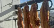 Nguy cơ mất an toàn khi phơi thịt giữa nắng 40 độ C
